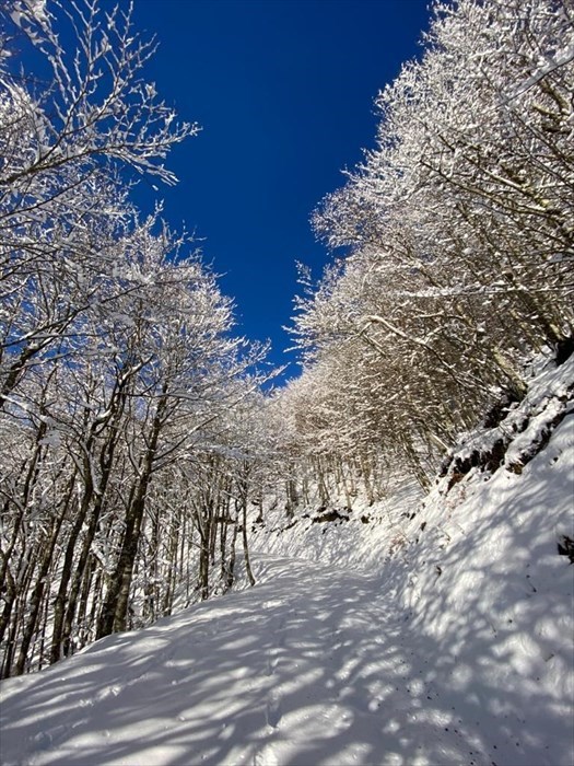 Il contrasto di colori