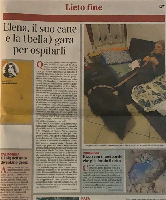 L'articolo di Sara Gandolfi