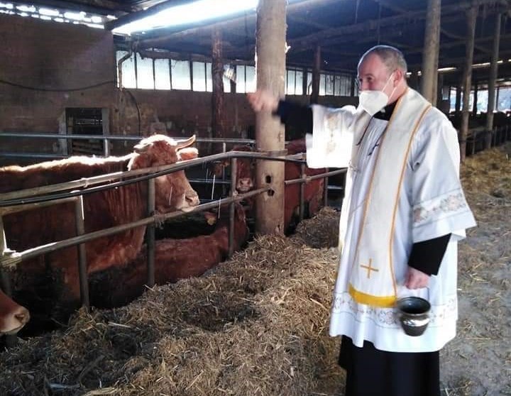 Benedizione degli animali nelle stalle di Vicchio. Foto del giorno