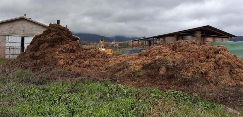 Il letame accumulato