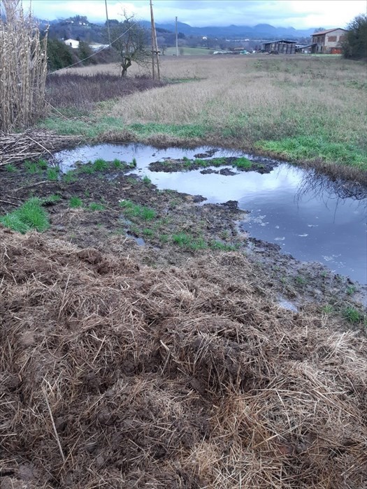 Il letame accumulato