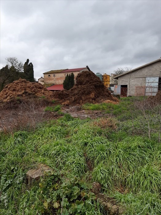 Il letame accumulato