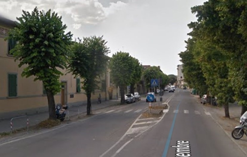 I tigli di Viale IV Novembre