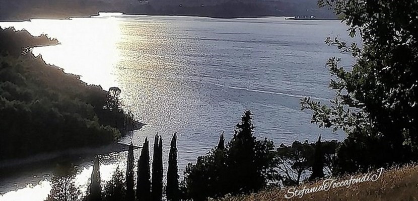 La natura si risveglia a Bilancino. Una bellissima galleria di foto