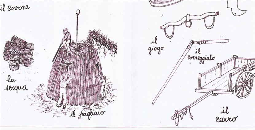 Oggetti agricoli in alcuni disegni dell'autrice