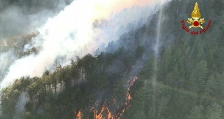 Incendio boschivo. Foto di repertorio
