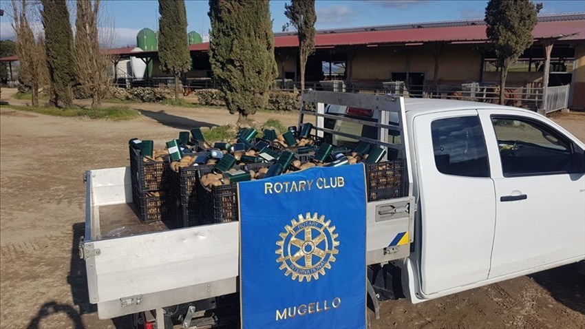 Le foto dell'ultima donazione