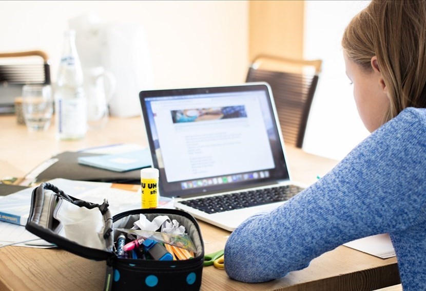 Didattica a distanza - scuola - ragazzi