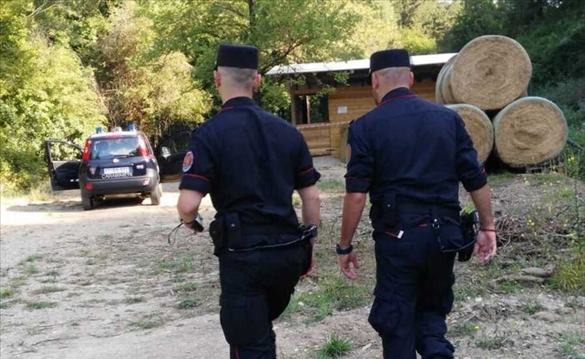 I forestali in azione