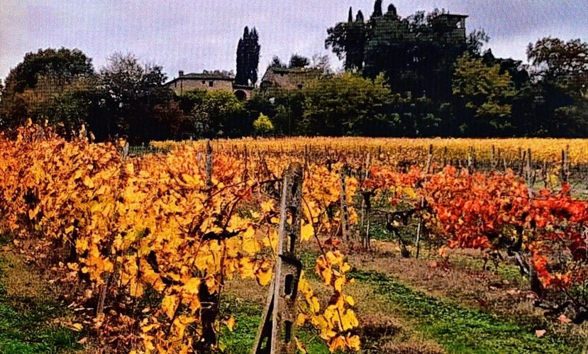 I colori autunnali a Vespignano sotto la Casa di Giotto