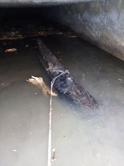 Il Fosso di San Giovanni