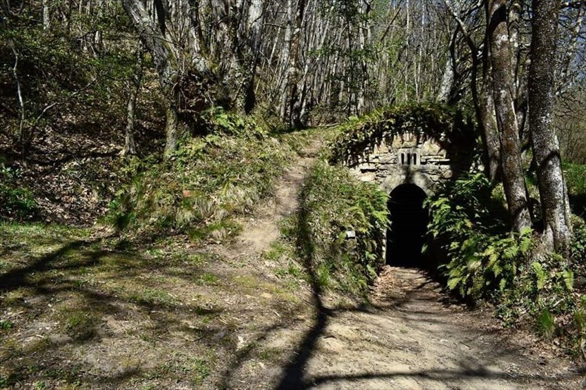 Di nuovo ""Zaino in spalla"" in Valdisieve grazie ad un nuovo sentiero di Arianna: scopritelo con noi!