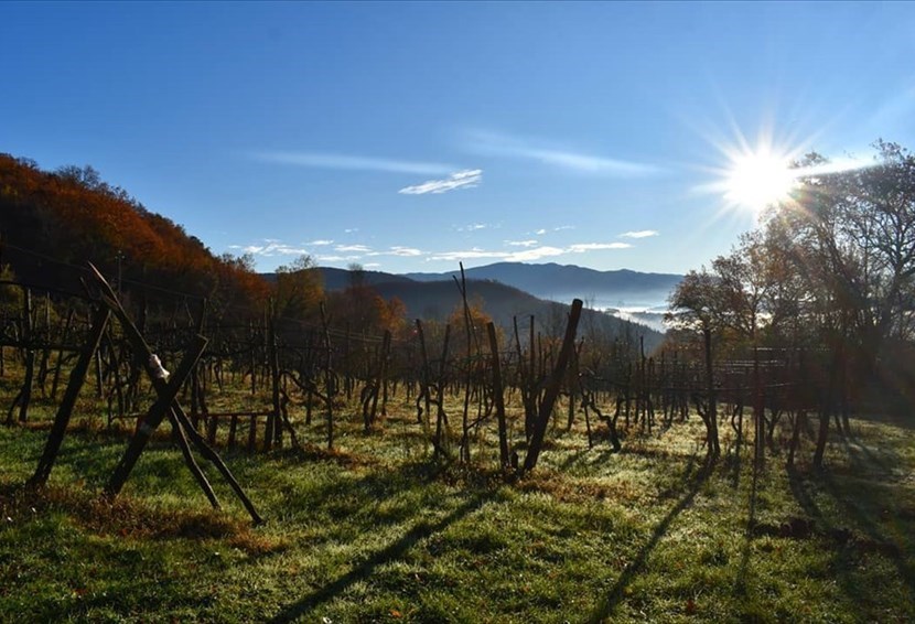 Ripartiamo ""Zaino in spalla"": scopriamo come ogni settimana un nuovo sentiero in Valdisieve con Arianna!