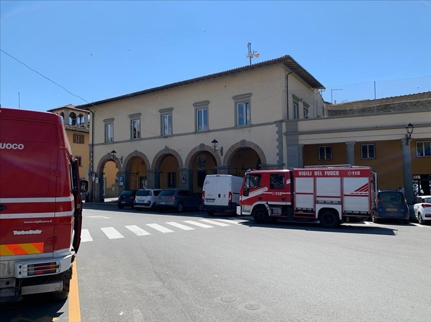 Le anatre in centro ed il 'recupero' dei pompieri