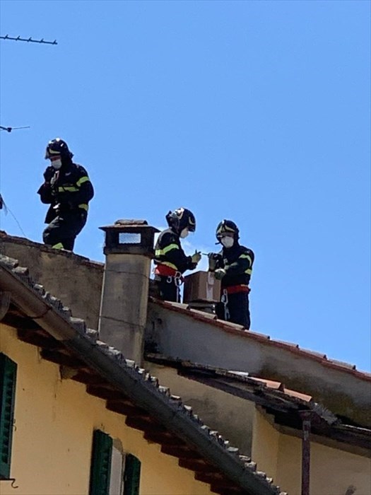 Le anatre in centro ed il 'recupero' dei pompieri