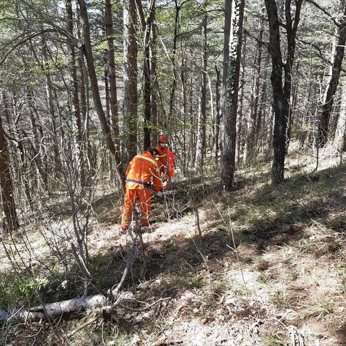 Le foto dell'esercitazione