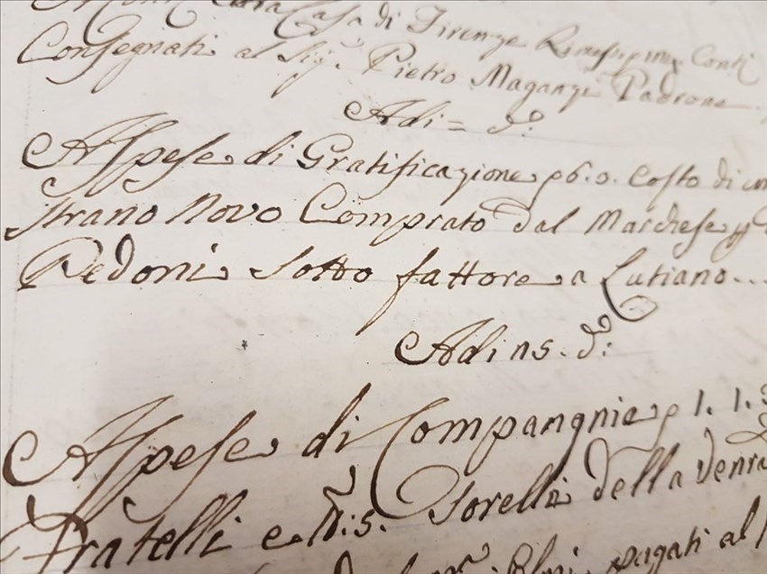 I documenti dell'archivio