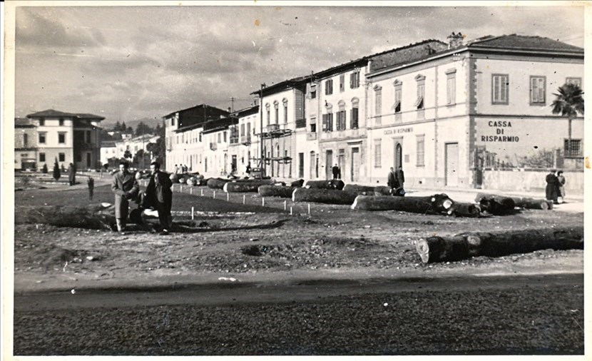 Gli alberi dei Giardini Municipali abbattuti (1947)