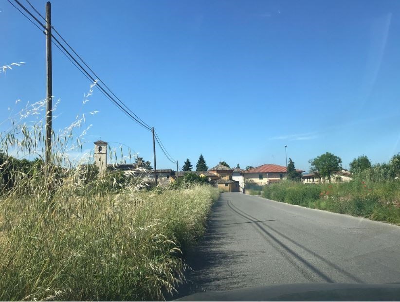 Erba alta a Luco. Una segnalazione