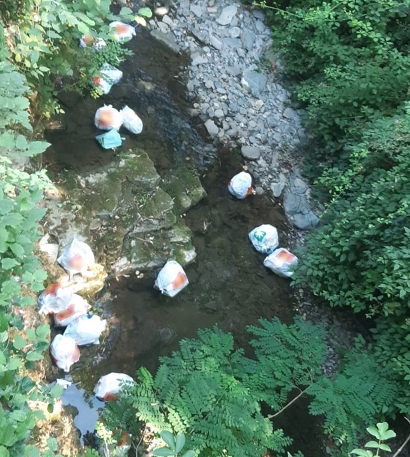 I rifiuti abbandonati