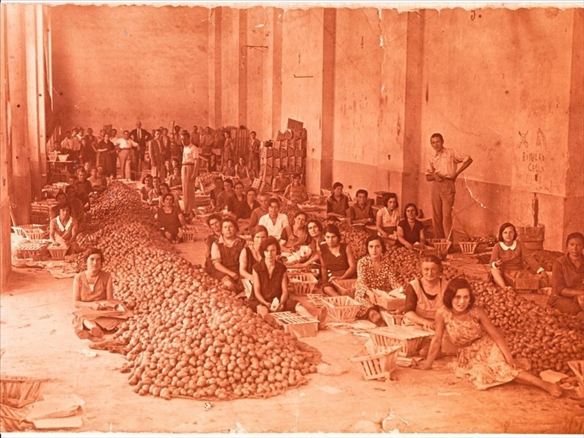 Fine anni ’30 del ‘900. La scelta dei prodotti della terra della donne borghigiane all’interno delle Logge