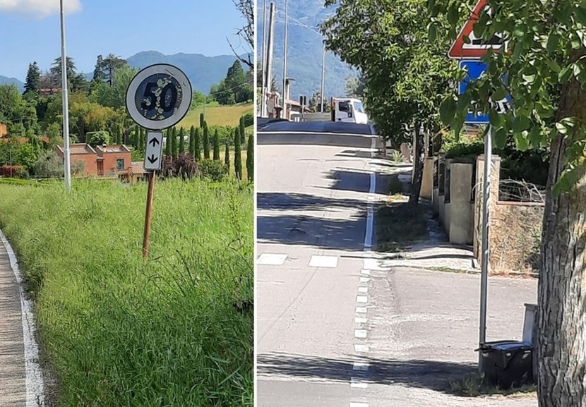 Mirandola e i cartelli