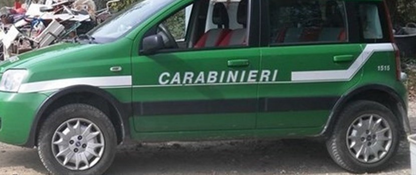 Carabinieri forestali. Foto di repertorio
