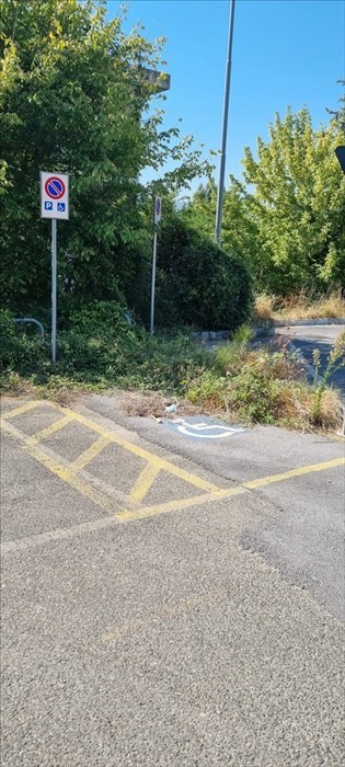 Le foto della piazzola