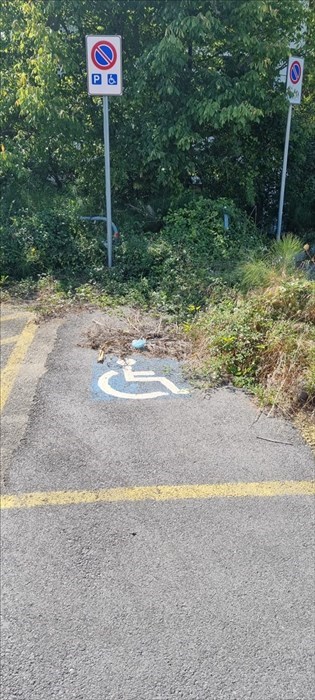 Le foto della piazzola