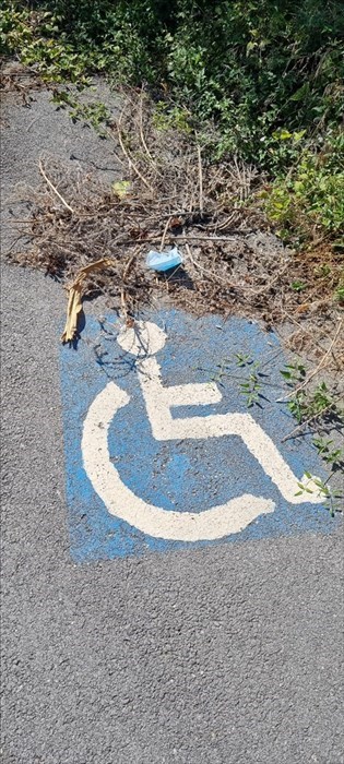 Le foto della piazzola