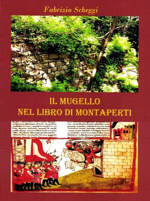 La copertina del libro di Scheggi