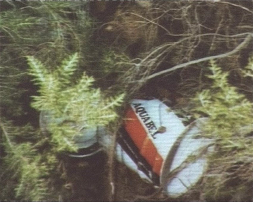 Delitto degli Scopeti