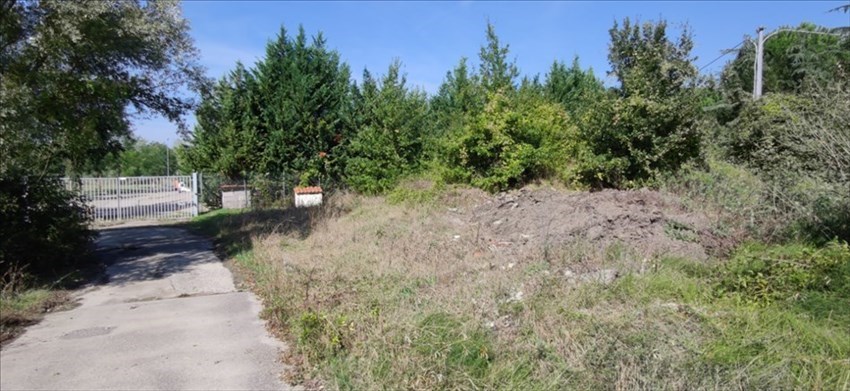 Il cumulo di rifiuti