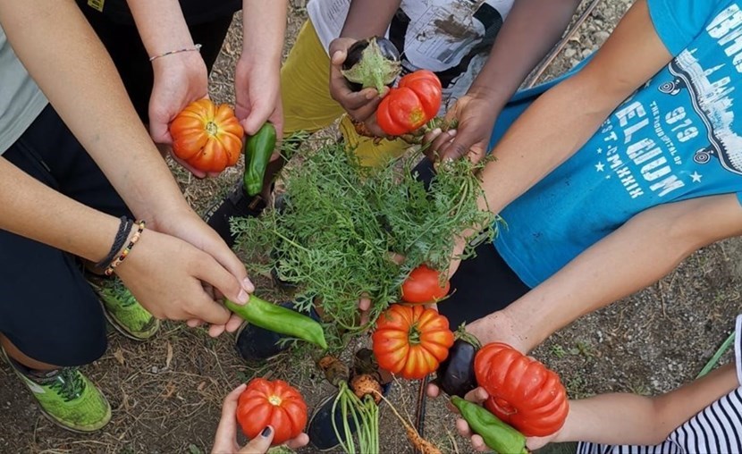 Orto a scuola a Borgo, anche in estate