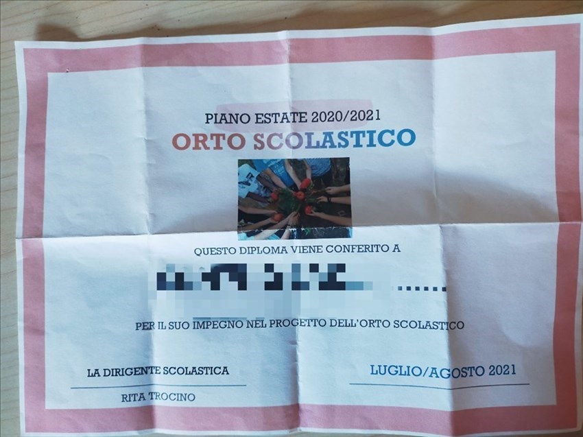 Il progetto orto a scuola, anche in estate