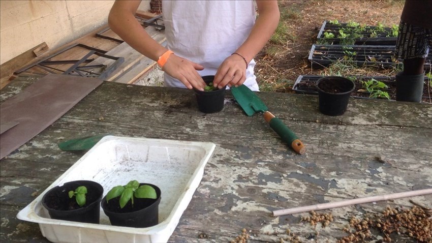 Il progetto orto a scuola, anche in estate
