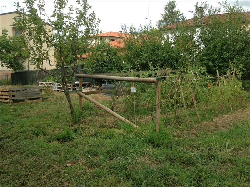 Il progetto orto a scuola, anche in estate