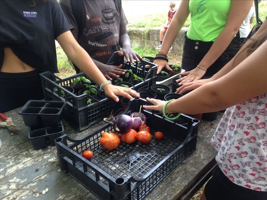 Il progetto orto a scuola, anche in estate