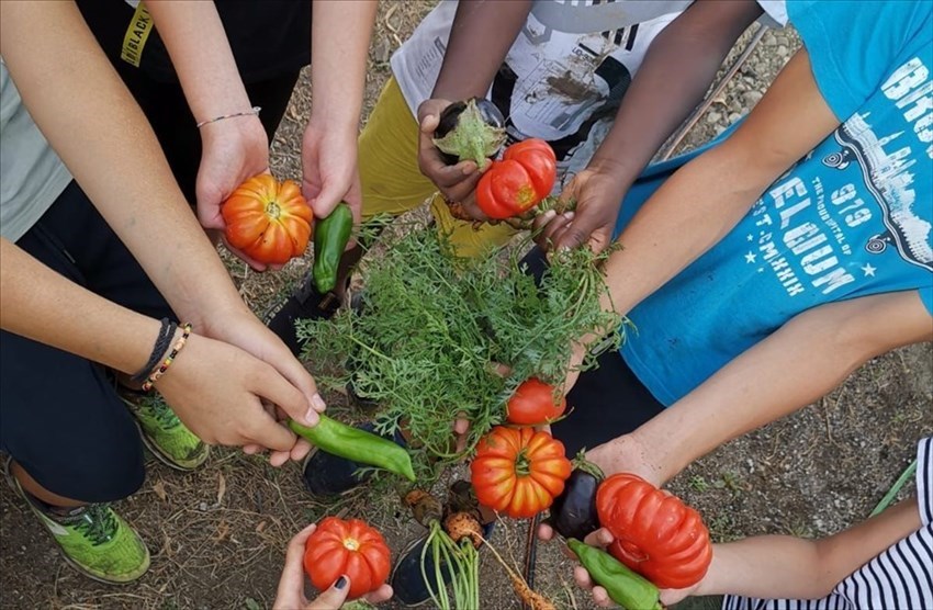 Il progetto orto a scuola, anche in estate