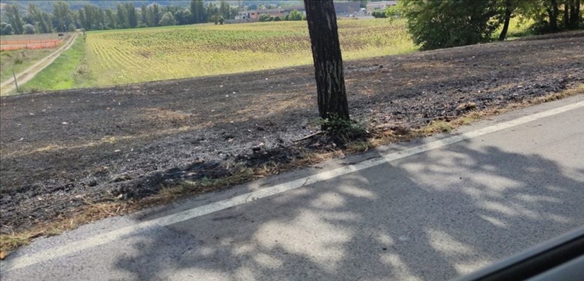 Il terreno bruciato a lato strada a La Torre