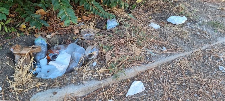 Rifiuti e bottiglie ai giardini di Via Calamandrei a Borgo