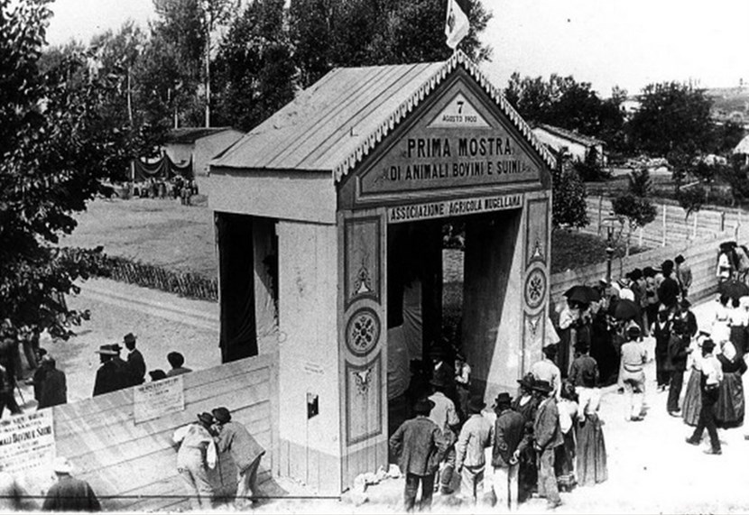 La Fiera agricola in Piazza Dante, 7 agosto 1900