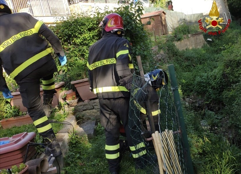 Pompieri in azione per un recupero. Foto di repertorio
