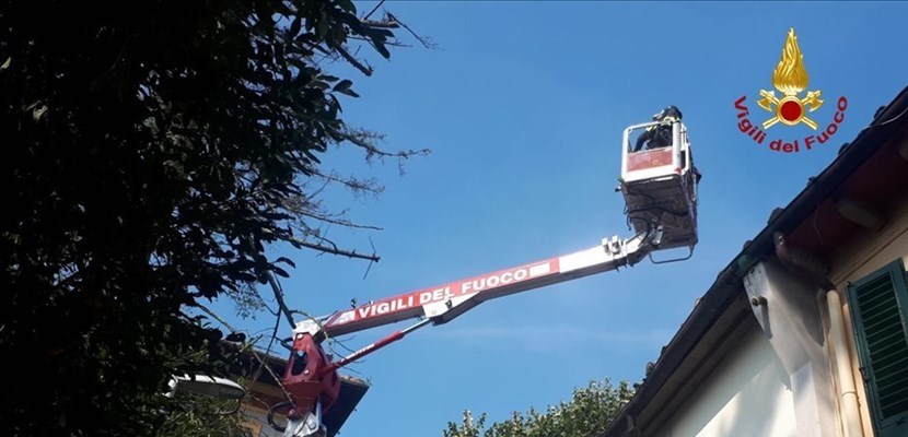 Vigili del Fuoco in azione a Bivigliano