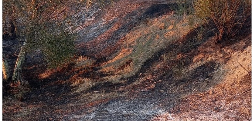 Incendio a Rostolena