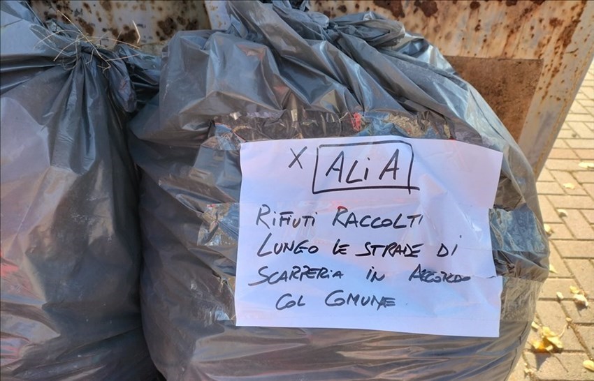 I sacchi raccolti per Alia