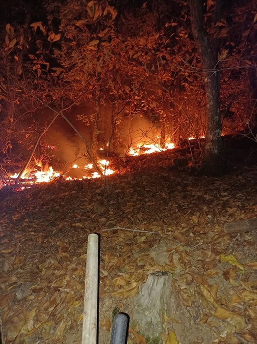 Le foto dell'intervento