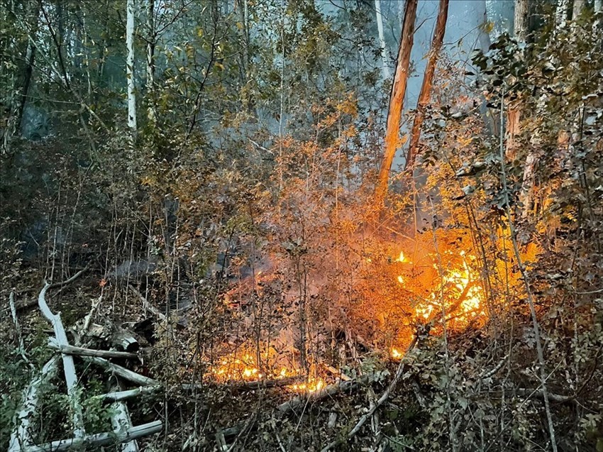 Le foto dell'intervento