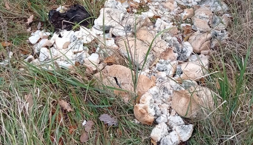 Lotta allo spreco alimentare? E poi si gettano sacchi pieni di pane. Accade a Bilancino