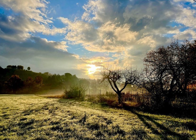Una meravigliosa alba stamani a Caselle. Foto del Giorno